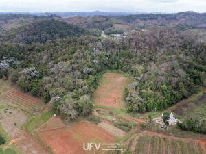 UFV sediará um Banco de Germoplasma de Cannabis