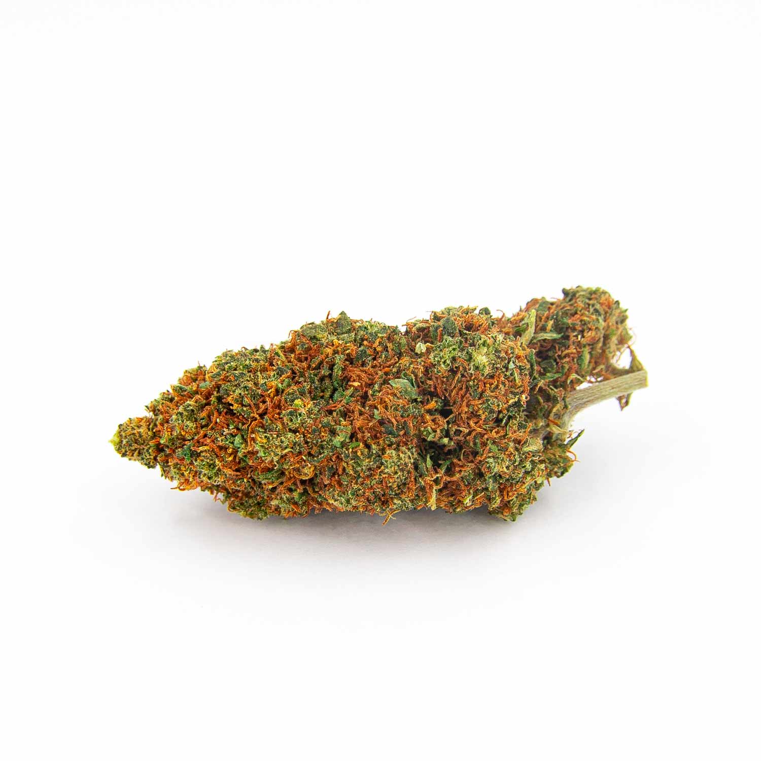 Orange Bud