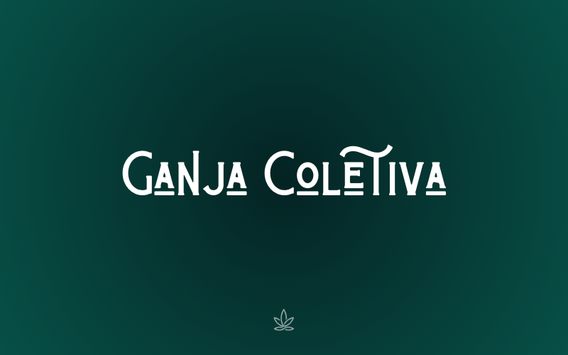 Aperte o verde: pré-candidaturas pró-cannabis lançam coletivo nacional