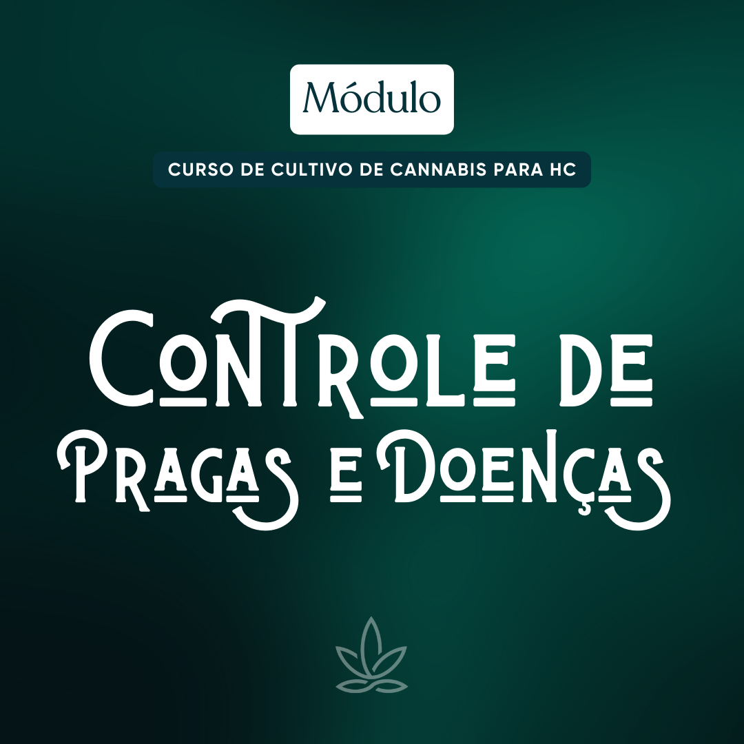 Curso de CBD